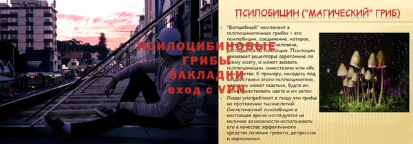шишки Алексин