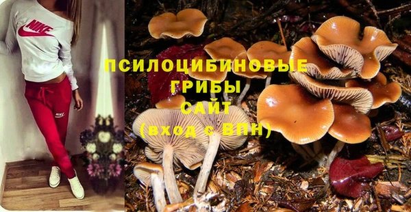 твердый Абдулино